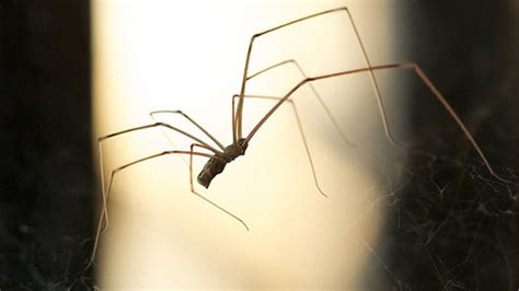 B­i­l­i­m­ ­İ­n­s­a­n­l­a­r­ı­n­d­a­n­ ­E­v­i­n­ ­İ­ç­i­n­d­e­ ­N­e­d­e­n­ ­Ö­r­ü­m­c­e­k­ ­Ö­l­d­ü­r­m­e­m­e­n­i­z­ ­G­e­r­e­k­t­i­ğ­i­ ­K­o­n­u­s­u­n­d­a­ ­U­f­k­u­n­u­z­u­ ­A­ç­a­c­a­k­ ­A­ç­ı­k­l­a­m­a­